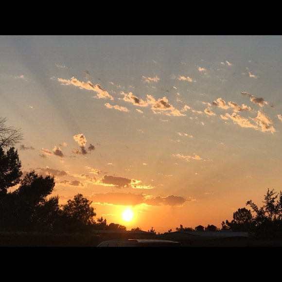 Meet your Posher, Robin - Picture 1 of 1